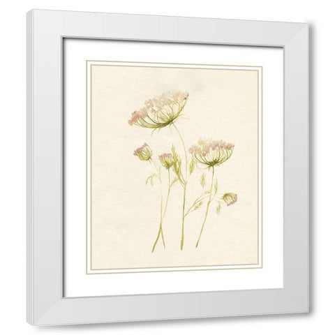 Blush Lace II White Modern Wood Framed Art Print with Double Matting by Goldberger, Jennifer