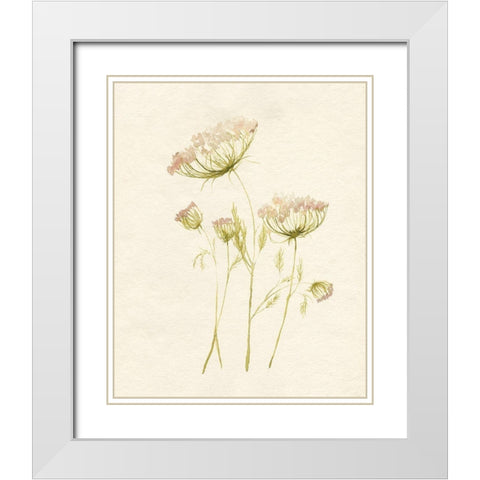 Blush Lace II White Modern Wood Framed Art Print with Double Matting by Goldberger, Jennifer