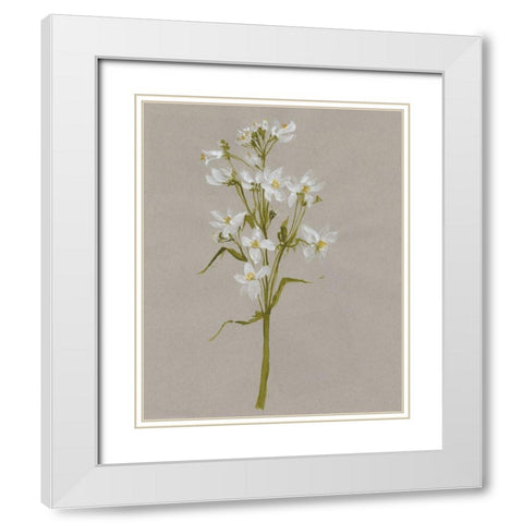 White Field Flowers I White Modern Wood Framed Art Print with Double Matting by Goldberger, Jennifer