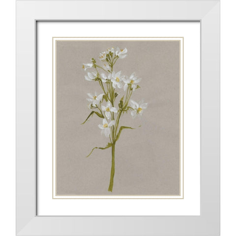 White Field Flowers I White Modern Wood Framed Art Print with Double Matting by Goldberger, Jennifer