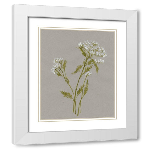 White Field Flowers III White Modern Wood Framed Art Print with Double Matting by Goldberger, Jennifer