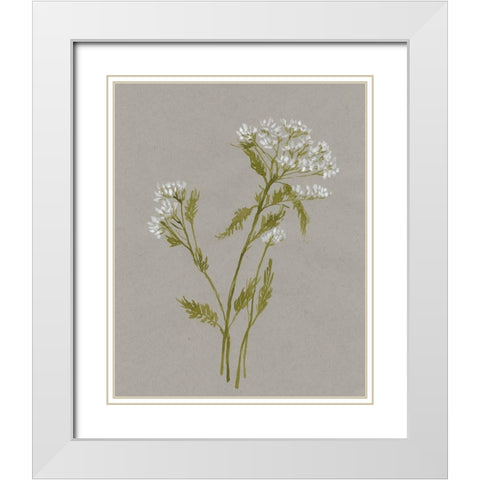 White Field Flowers III White Modern Wood Framed Art Print with Double Matting by Goldberger, Jennifer