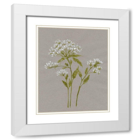 White Field Flowers IV White Modern Wood Framed Art Print with Double Matting by Goldberger, Jennifer