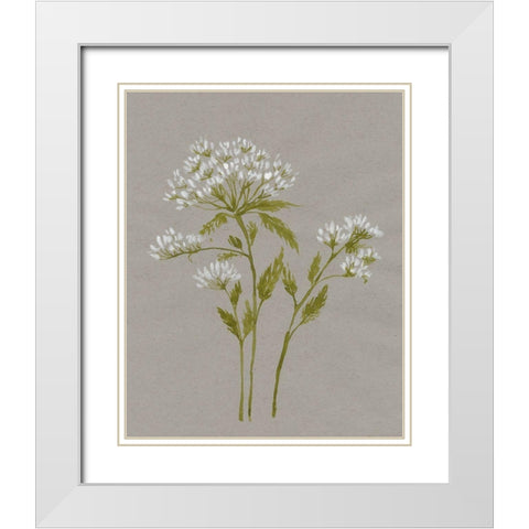 White Field Flowers IV White Modern Wood Framed Art Print with Double Matting by Goldberger, Jennifer