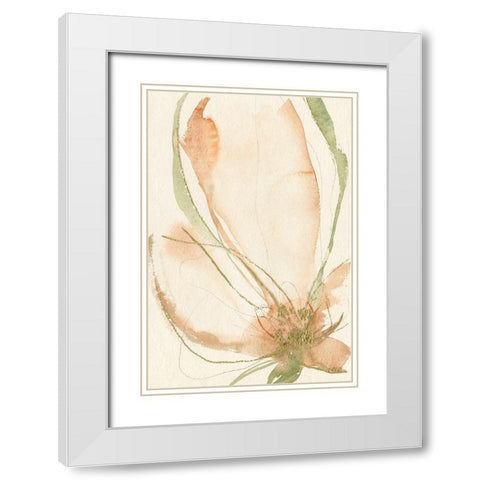 Petal Sketches I White Modern Wood Framed Art Print with Double Matting by Goldberger, Jennifer