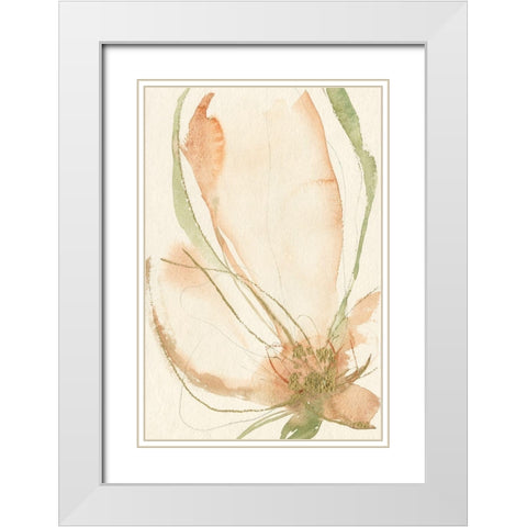 Petal Sketches I White Modern Wood Framed Art Print with Double Matting by Goldberger, Jennifer