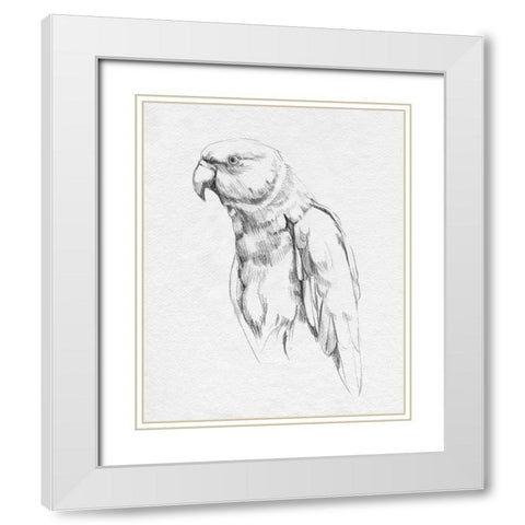 Parrot Portrait I White Modern Wood Framed Art Print with Double Matting by Caroline, Emma