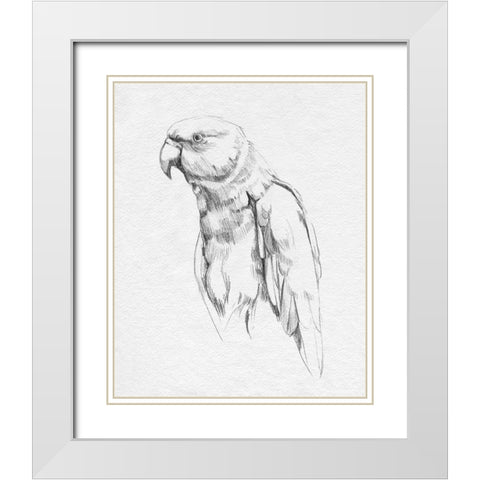 Parrot Portrait I White Modern Wood Framed Art Print with Double Matting by Caroline, Emma