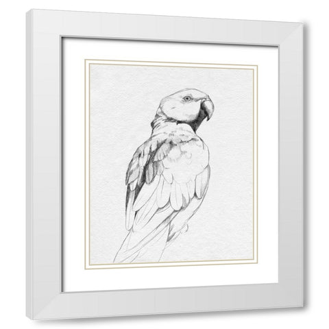 Parrot Portrait II White Modern Wood Framed Art Print with Double Matting by Caroline, Emma