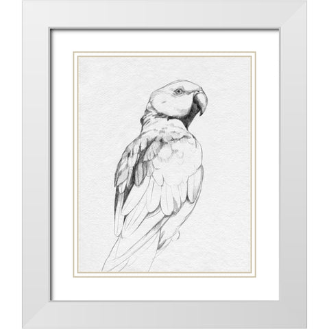 Parrot Portrait II White Modern Wood Framed Art Print with Double Matting by Caroline, Emma