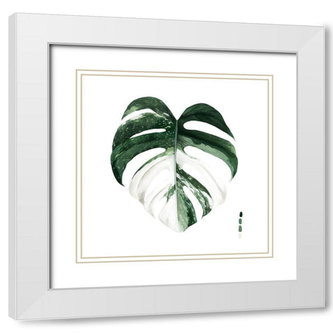 Custom Variegated Monstera I White Modern Wood Framed Art Print with Double Matting by Popp, Grace