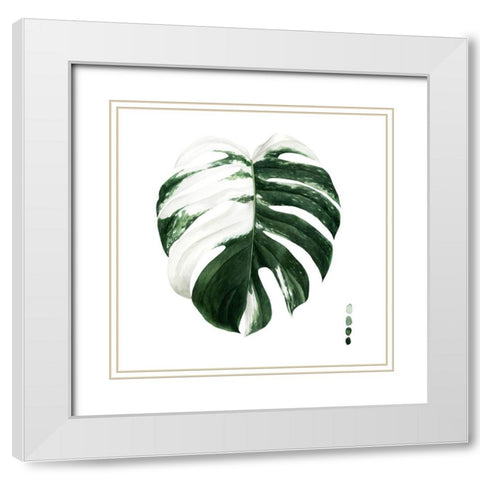 Custom Variegated Monstera II White Modern Wood Framed Art Print with Double Matting by Popp, Grace