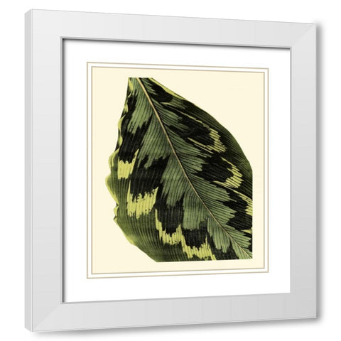 Grandiose Leaves I White Modern Wood Framed Art Print with Double Matting by Vision Studio