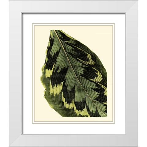 Grandiose Leaves I White Modern Wood Framed Art Print with Double Matting by Vision Studio