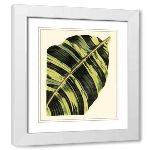 Grandiose Leaves II White Modern Wood Framed Art Print with Double Matting by Vision Studio