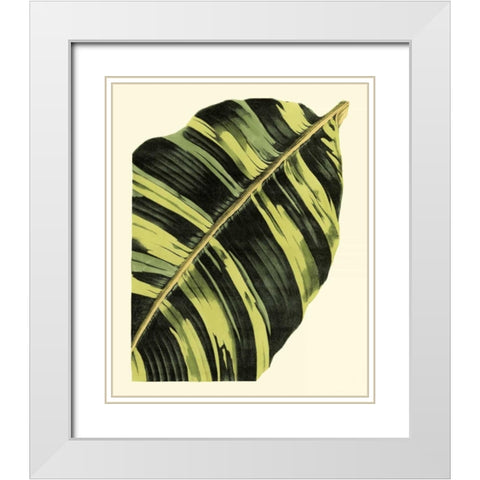 Grandiose Leaves II White Modern Wood Framed Art Print with Double Matting by Vision Studio