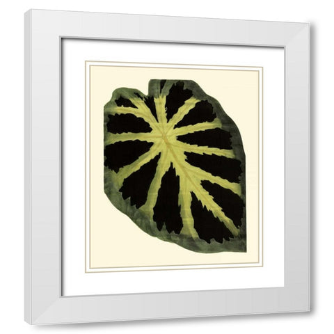 Grandiose Leaves III White Modern Wood Framed Art Print with Double Matting by Vision Studio