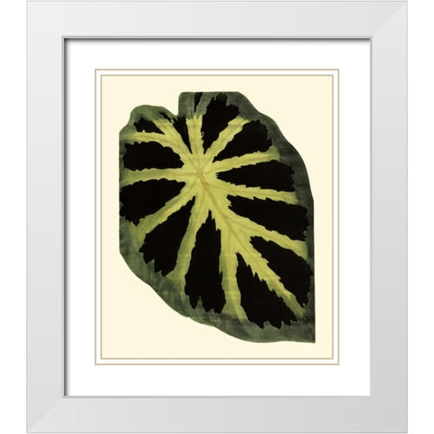 Grandiose Leaves III White Modern Wood Framed Art Print with Double Matting by Vision Studio