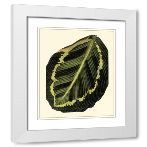 Grandiose Leaves IV White Modern Wood Framed Art Print with Double Matting by Vision Studio