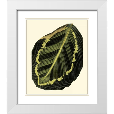 Grandiose Leaves IV White Modern Wood Framed Art Print with Double Matting by Vision Studio