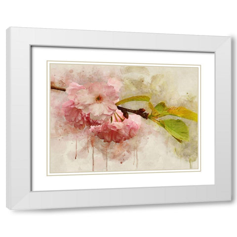 Blossom Elegance I White Modern Wood Framed Art Print with Double Matting by Robertson, Leda
