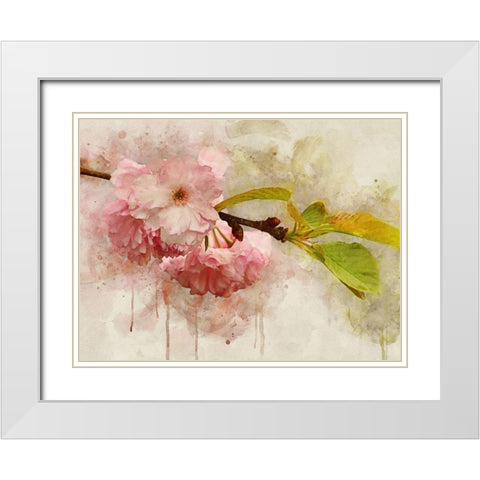 Blossom Elegance I White Modern Wood Framed Art Print with Double Matting by Robertson, Leda