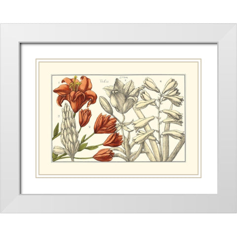 Embellished Arena Botanical I White Modern Wood Framed Art Print with Double Matting by Arena