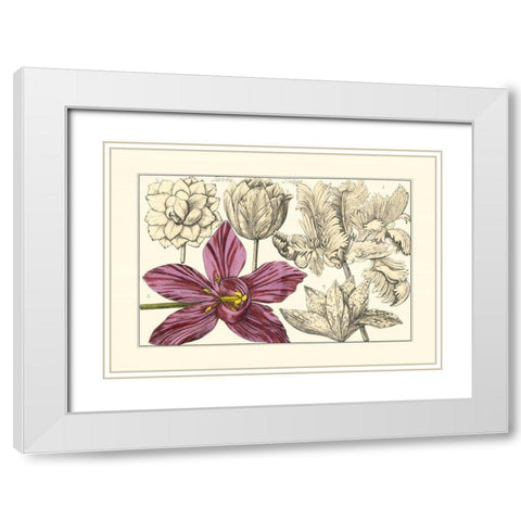 Embellished Arena Botanical IV White Modern Wood Framed Art Print with Double Matting by Arena