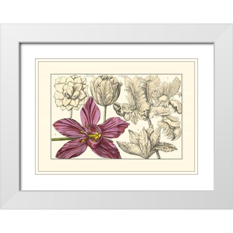 Embellished Arena Botanical IV White Modern Wood Framed Art Print with Double Matting by Arena