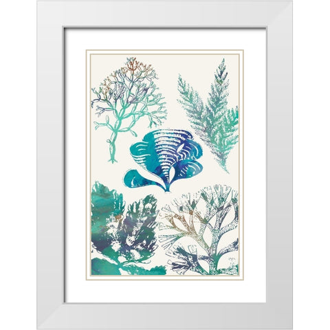 Aquatic Assemblage III White Modern Wood Framed Art Print with Double Matting by Chandler, Sharon