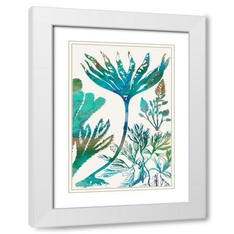 Aquatic Assemblage IV White Modern Wood Framed Art Print with Double Matting by Chandler, Sharon