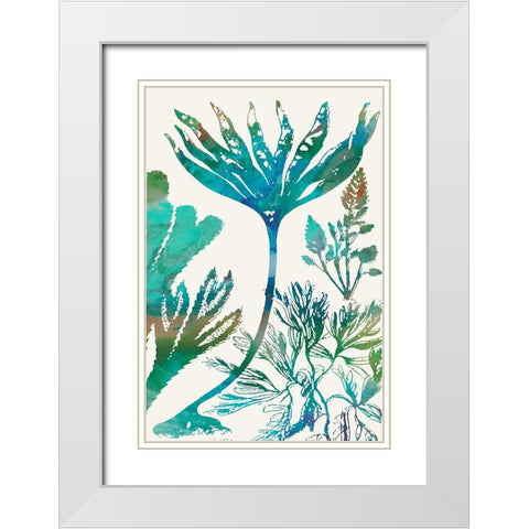 Aquatic Assemblage IV White Modern Wood Framed Art Print with Double Matting by Chandler, Sharon