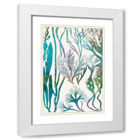 Aquatic Assemblage V White Modern Wood Framed Art Print with Double Matting by Chandler, Sharon