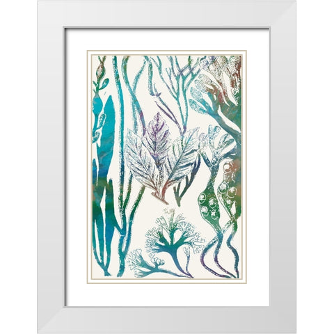 Aquatic Assemblage V White Modern Wood Framed Art Print with Double Matting by Chandler, Sharon