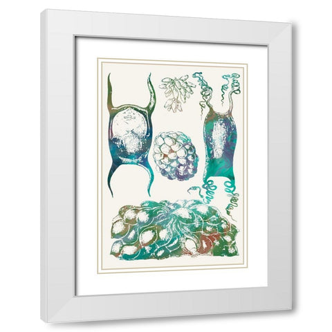 Aquatic Assemblage VI White Modern Wood Framed Art Print with Double Matting by Chandler, Sharon