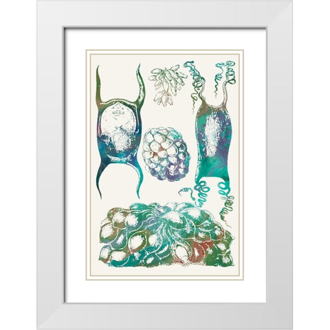 Aquatic Assemblage VI White Modern Wood Framed Art Print with Double Matting by Chandler, Sharon