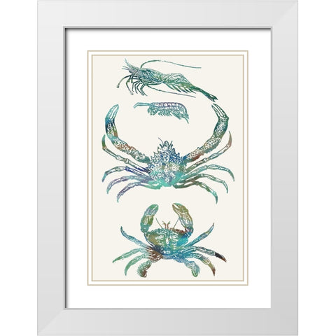 Aquatic Assemblage VIII White Modern Wood Framed Art Print with Double Matting by Chandler, Sharon