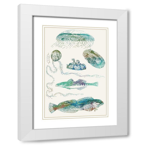Aquatic Assemblage IX White Modern Wood Framed Art Print with Double Matting by Chandler, Sharon