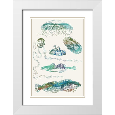 Aquatic Assemblage IX White Modern Wood Framed Art Print with Double Matting by Chandler, Sharon