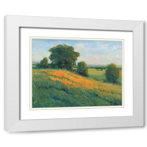 Poppy Fields I White Modern Wood Framed Art Print with Double Matting by OToole, Tim