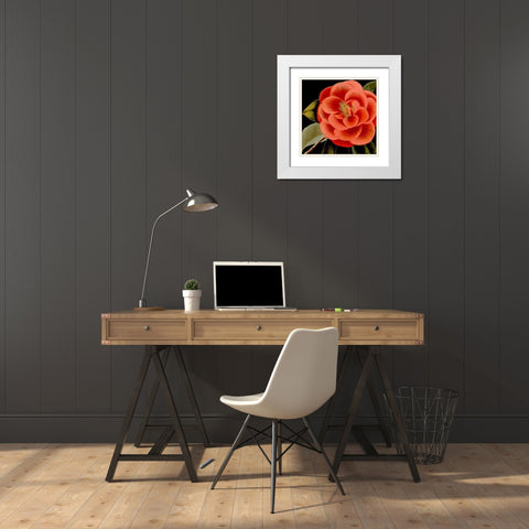 Dramatic Camellia III White Modern Wood Framed Art Print with Double Matting by Vision Studio