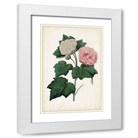 Vintage Rose Clippings II White Modern Wood Framed Art Print with Double Matting by Vision Studio