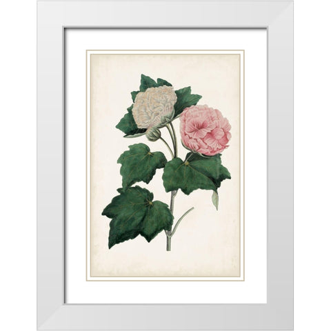 Vintage Rose Clippings II White Modern Wood Framed Art Print with Double Matting by Vision Studio