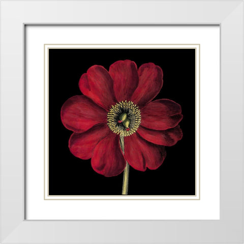 Dramatic Blooms I White Modern Wood Framed Art Print with Double Matting by Vision Studio