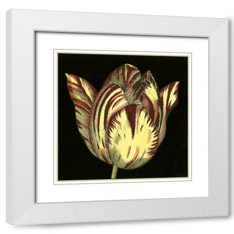 Dramatic Blooms V White Modern Wood Framed Art Print with Double Matting by Vision Studio