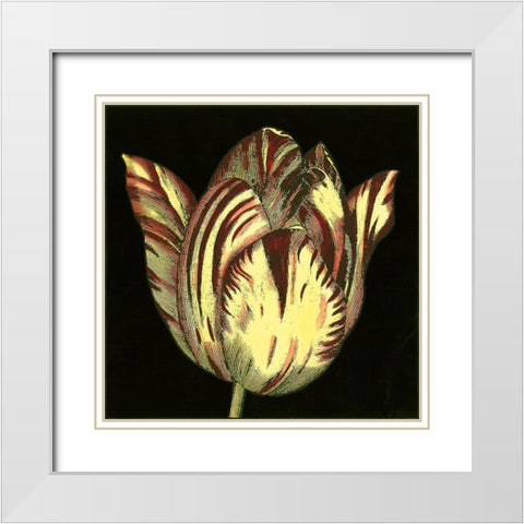 Dramatic Blooms V White Modern Wood Framed Art Print with Double Matting by Vision Studio