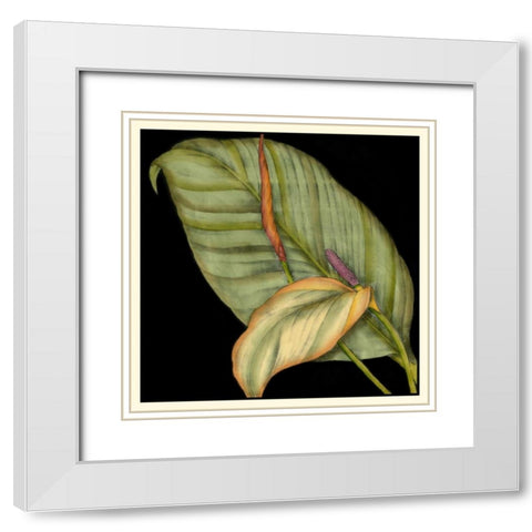 Graphic Tropicals II White Modern Wood Framed Art Print with Double Matting by Goldberger, Jennifer