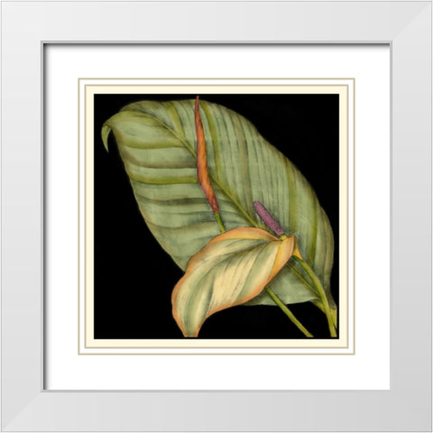 Graphic Tropicals II White Modern Wood Framed Art Print with Double Matting by Goldberger, Jennifer