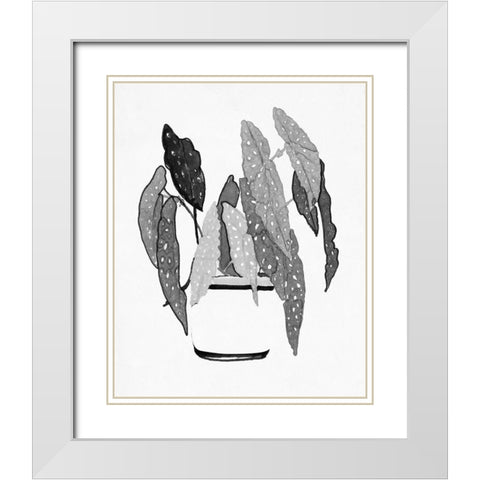 BandW Indoor Plant V White Modern Wood Framed Art Print with Double Matting by Stellar Design Studio