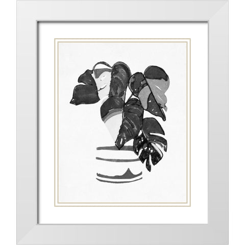 BandW Indoor Plant VI White Modern Wood Framed Art Print with Double Matting by Stellar Design Studio